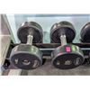 Image 1 : ONSITE: PAIR OF STAK 30LBS DUMBELLS