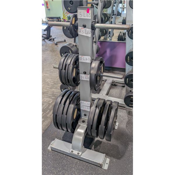 ONSITE:PRECOR CW816 VERTICAL PLATE TREE W/ WEIGHTS
