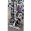 Image 1 : ONSITE:PRECOR CW816 VERTICAL PLATE TREE W/ WEIGHTS