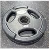 Image 1 : ONSITE: LOT OF 2 STAK 10LBS PLATES