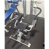 Image 1 : ONSITE LOCATION #2: PLATE LOADED AB CRUNCH MACHINE