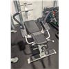Image 2 : ONSITE LOCATION #2: PLATE LOADED AB CRUNCH MACHINE