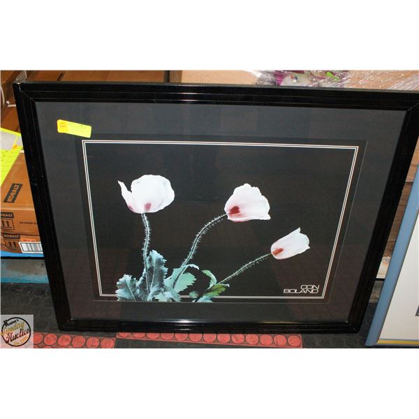 CON BOLAND 32"X25" PHOTOGRAPH