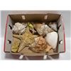 Image 1 : GENUINE SEASHELLS/STARFISH ETC
