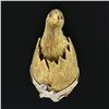 Image 2 : Vintage 18K TT Gold Detailed Textured Chick Bird Breaking Out of Egg Pin Brooch