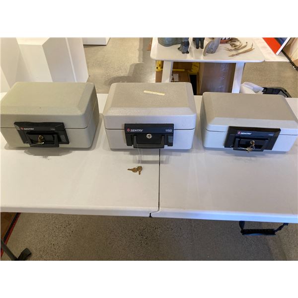 3 Sentri Safe's