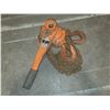 Image 1 : CM Lever Block Chain Hoist 3 Ton