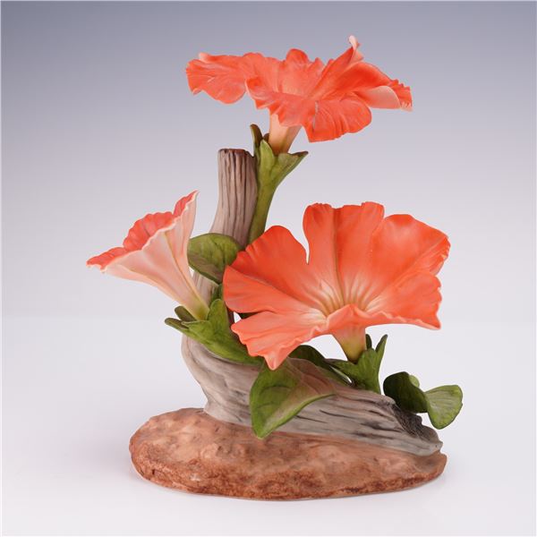 Boehm Porcelain Flower Sculpture, Coral Petunia 106