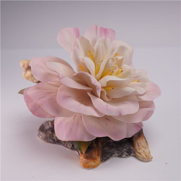 Boehm Porcelain Flower Sculpture, Paul Jones Camellia 250-36