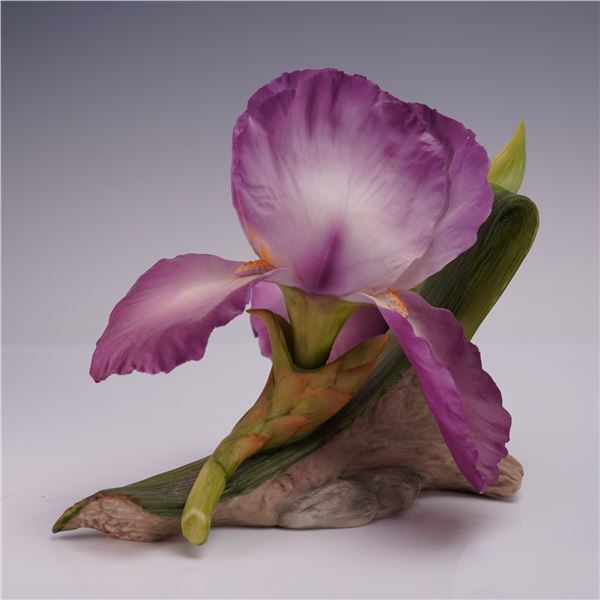 Boehm Porcelain Flower Sculpture, Grand Waltz Iris F338