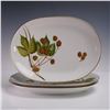 Image 4 : 23pc Heinrich H&C Selb Bavaria Porcelain Dinnerware