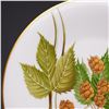 Image 5 : 23pc Heinrich H&C Selb Bavaria Porcelain Dinnerware