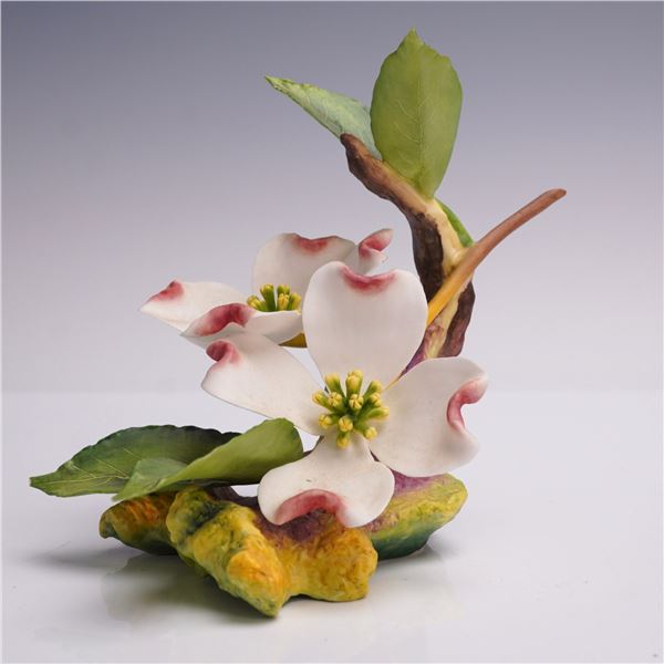 Connoisseur Porcelain Flower White Dogwood England