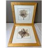 Image 1 : Alan Newnham Christmas Rose I and II