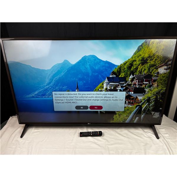 LG 49" TV