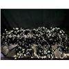 Image 2 : Christmas Indoor/Outdoor String Lights