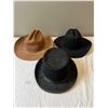 Image 1 : Cowboy Hats