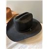 Image 3 : Cowboy Hats