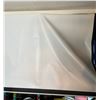 Image 3 : 150" JaveQ Motorized Projector Screen