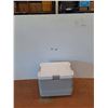 Image 1 : *Igloo Cooler - 21'' x 15'' x 16.5'' As Is CANNOT SHIP