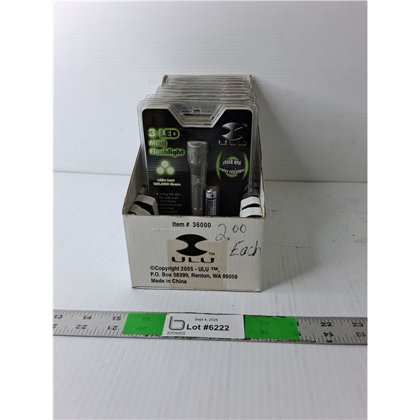 Box of Flashlights LED Includes Packaged Batteries