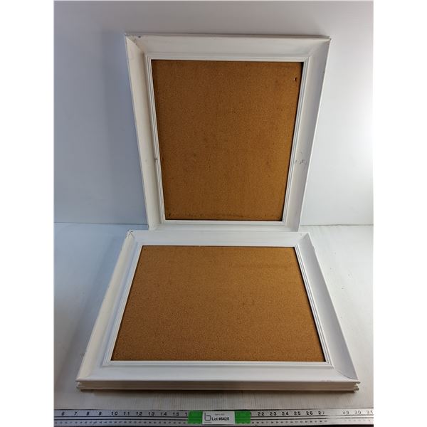 (2) Picture Frames 24" x 20"