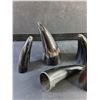 Image 2 : Horns