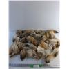 Image 1 : Coyote Fur