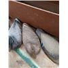 Image 4 : *(6) Ariduk Vintage Featherweight Duck Decoys and Wooden Storage Box- PICK UP ONLY