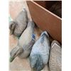 Image 5 : *(6) Ariduk Vintage Featherweight Duck Decoys and Wooden Storage Box- PICK UP ONLY