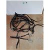 Image 1 : Horse Harness, Driving Bridle