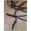 Image 2 : Horse Harness, Driving Bridle
