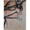 Image 3 : Horse Harness, Driving Bridle