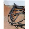Image 4 : Horse Harness, Driving Bridle