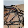 Image 5 : Horse Harness, Driving Bridle