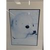 Image 2 : Framed Seal Pup Wall Art Print 22" x 18"