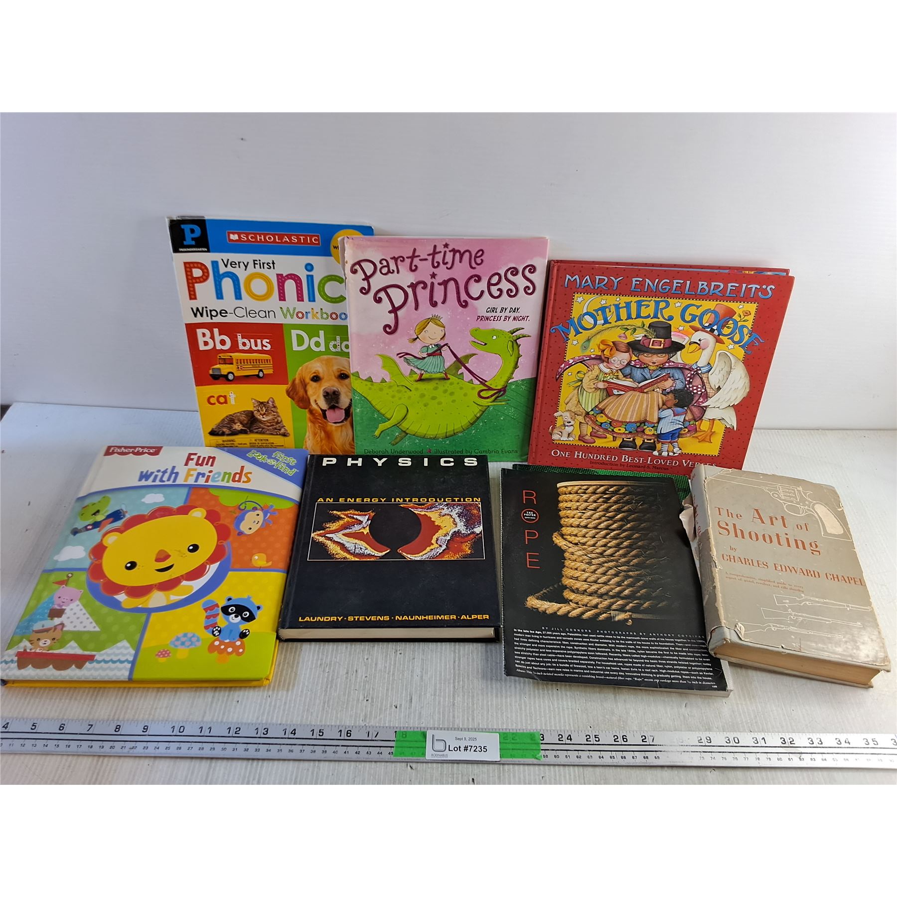 Part Time Princess (7) Books - Fun with Friends, Physics, Part Time Princess - Bodnarus ...