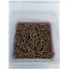 Image 2 : Partial Bulk Pail of 8 x 2.5" Ceramic Deck Screws  -  PICK UP