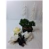 Image 3 : Musical Merrygoround- Working, Miniature Bonsai Trees, Pinecones, Misc.
