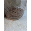 Image 2 : Expanded Clay Pebbles & Small Storage Tote - No Lid  -  PICK UP