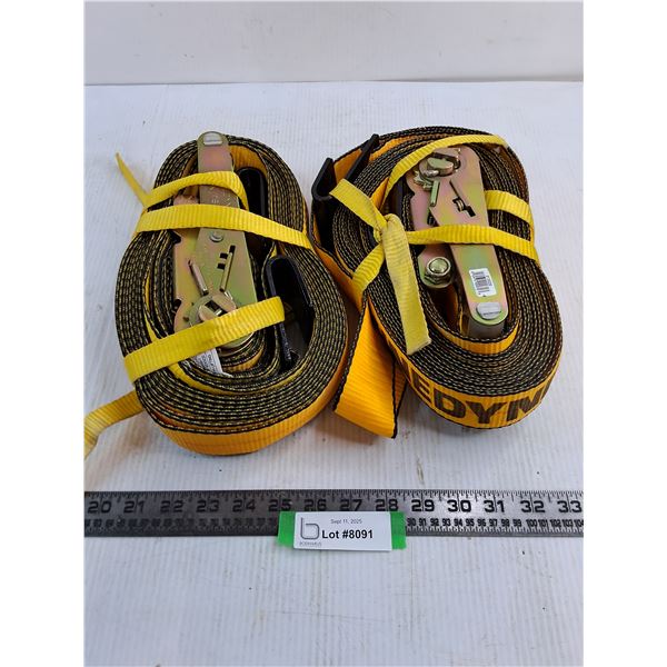 (2) Kinedyne #804 30' x 2" Straps With Flat Hooks - 3335lb/1515kg Rating