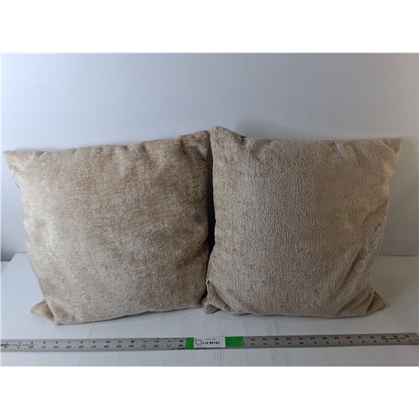 (2) Throw Cushions