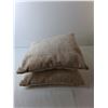 Image 2 : (2) Throw Cushions