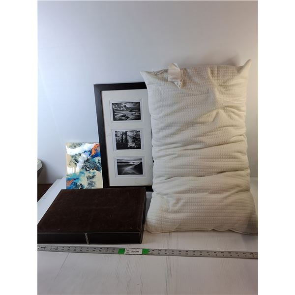 King Size Pillow, (2) Framed Art Pieces- Some Water Damage Up to 22" x 12", Misc.