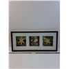 Image 1 : Ikea Seaside Themed Shadow Box Picture - 28" x 12"