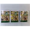 Image 3 : (3) Funko Pop Steve Irwin Figurines- NIB