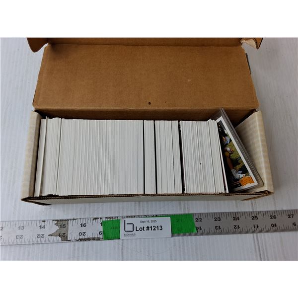 1991 Upper Deck Football Cards, Cannot Authenticate