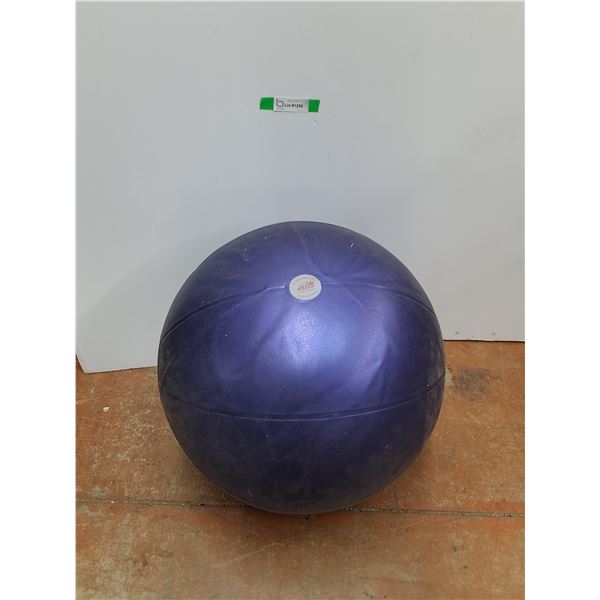 26" Sissel Exercise Ball - PICK UP ONLY