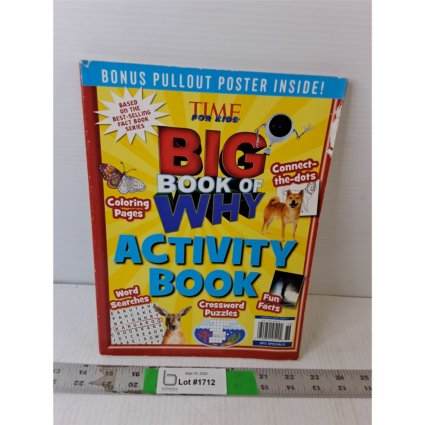 Why Activity Book Time Big Book of Why Activity Book - Bodnarus Auctioneering