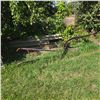 Image 3 : Walk Behind 1 Furrow Plow